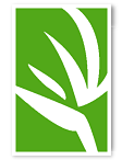 SEANDA Logo